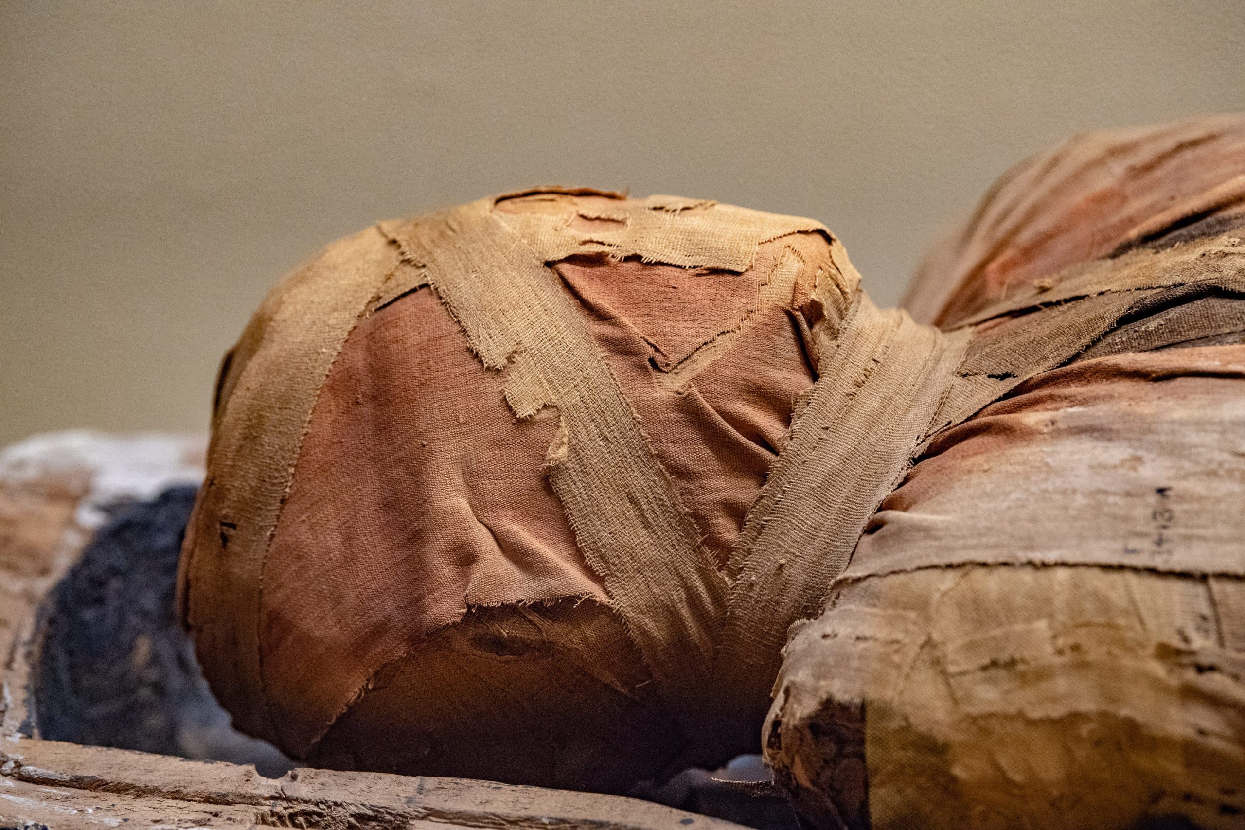 What is the oldest mummy in the world and when does it date back? - LNU ...