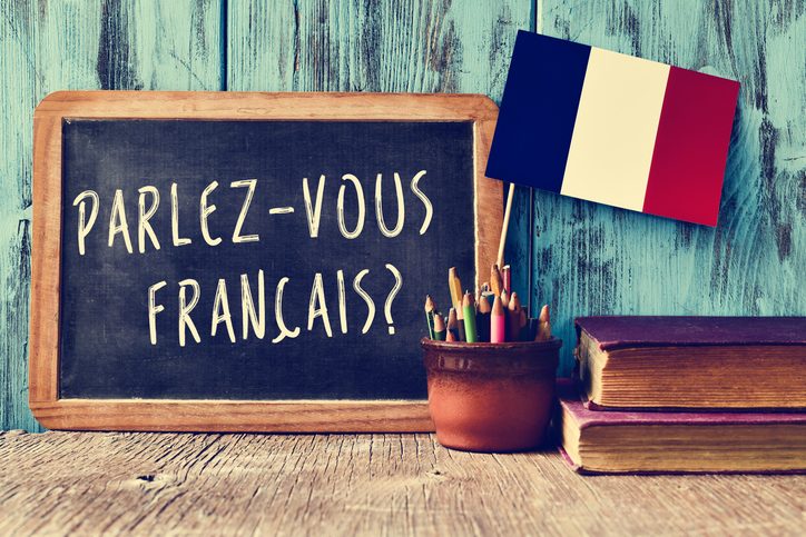 Why do you say "sorry for French"? Origin and evolution of its meaning