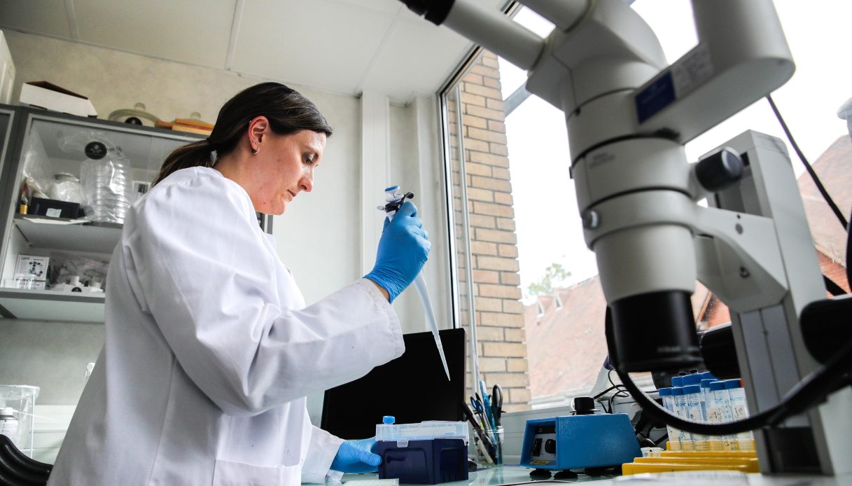 Few Funds again in search of