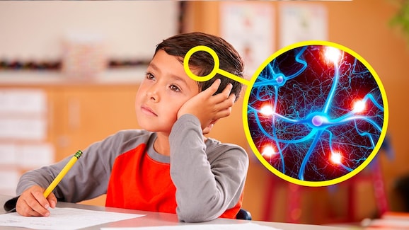 what happens in the brain when we do nothing