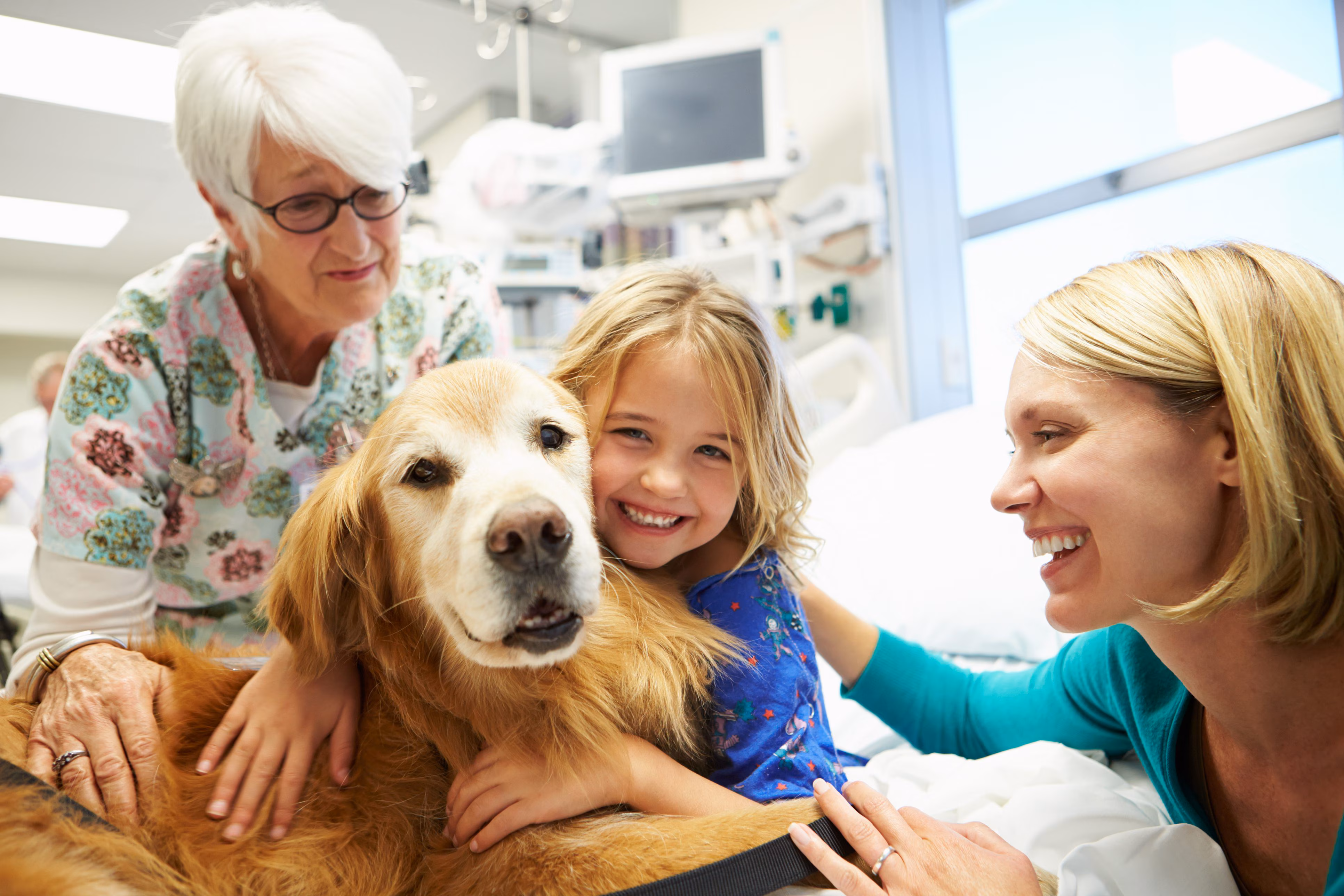 Does Pet Therapy work? Here's what studies and institutions say