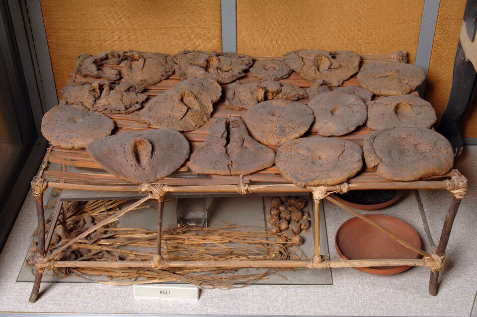 What the ancient Egyptians ate for breakfast: spelled bread, beer, onions and garlic