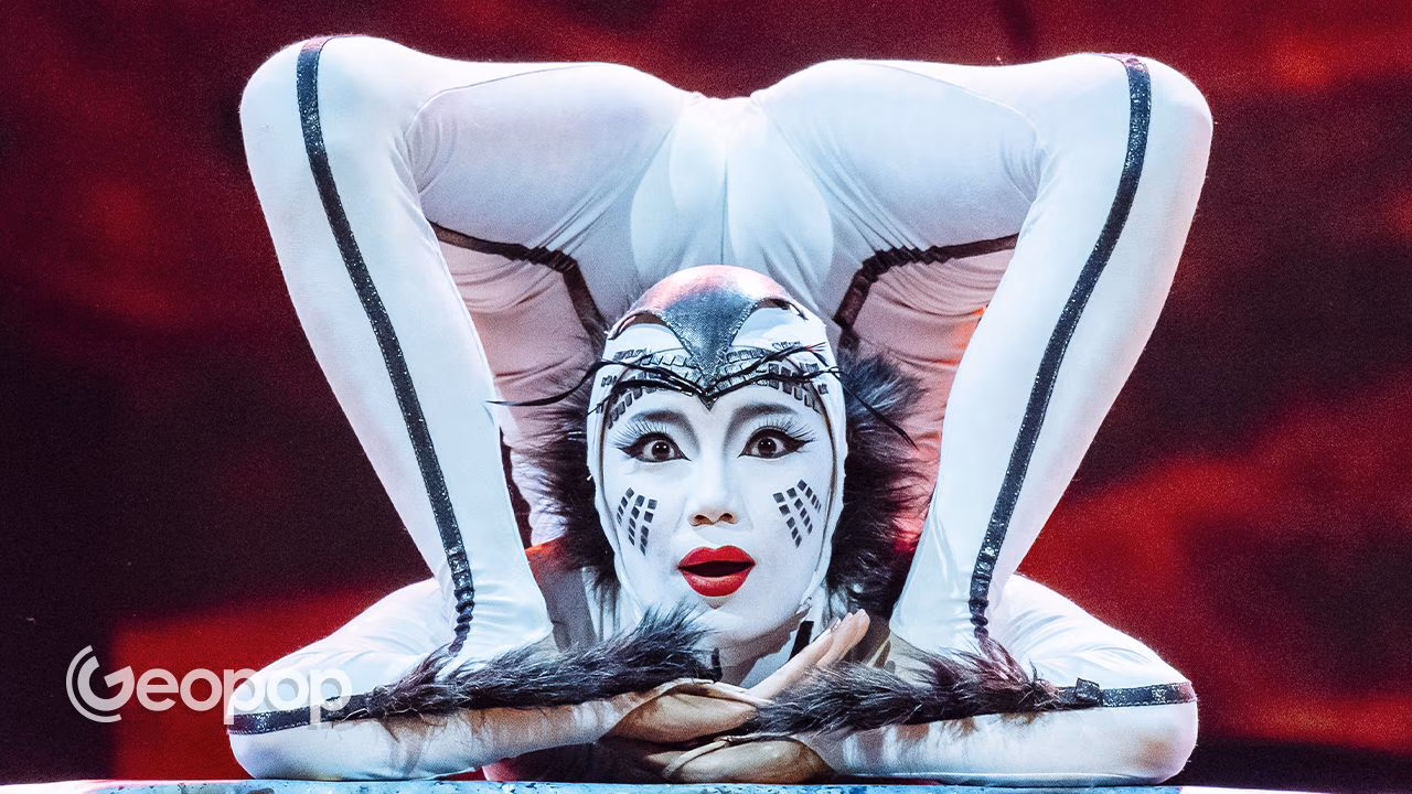 Cirque du Soleil returns to Rome with OVO: behind the scenes of the circus show