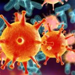 Virus e batteri, non solo malattie: ecco come possono sostenere il benessere e la salute umana