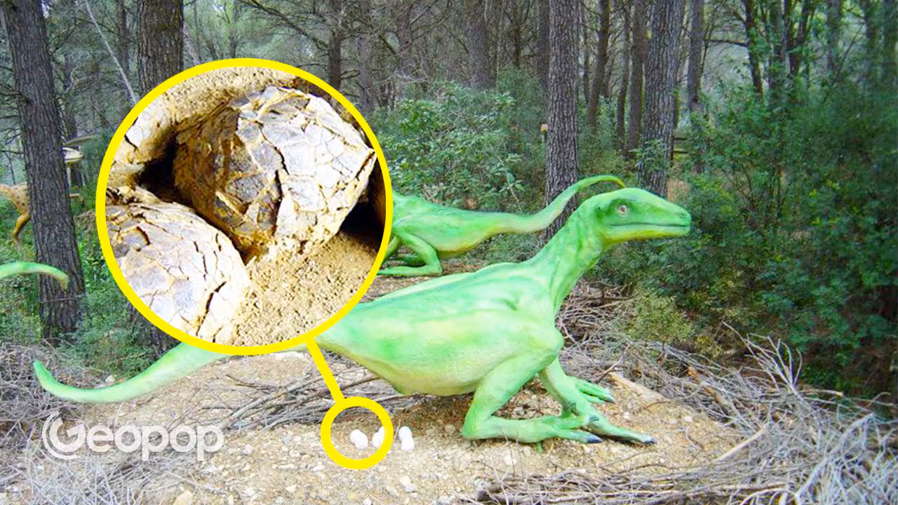 How Cretaceous mud protected dinosaur egg nests in France for 70 million years