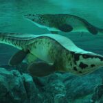 A gigantic "T-rex of the seas" that lived 80 million years ago has been discovered: 13 m long and with serrated teeth