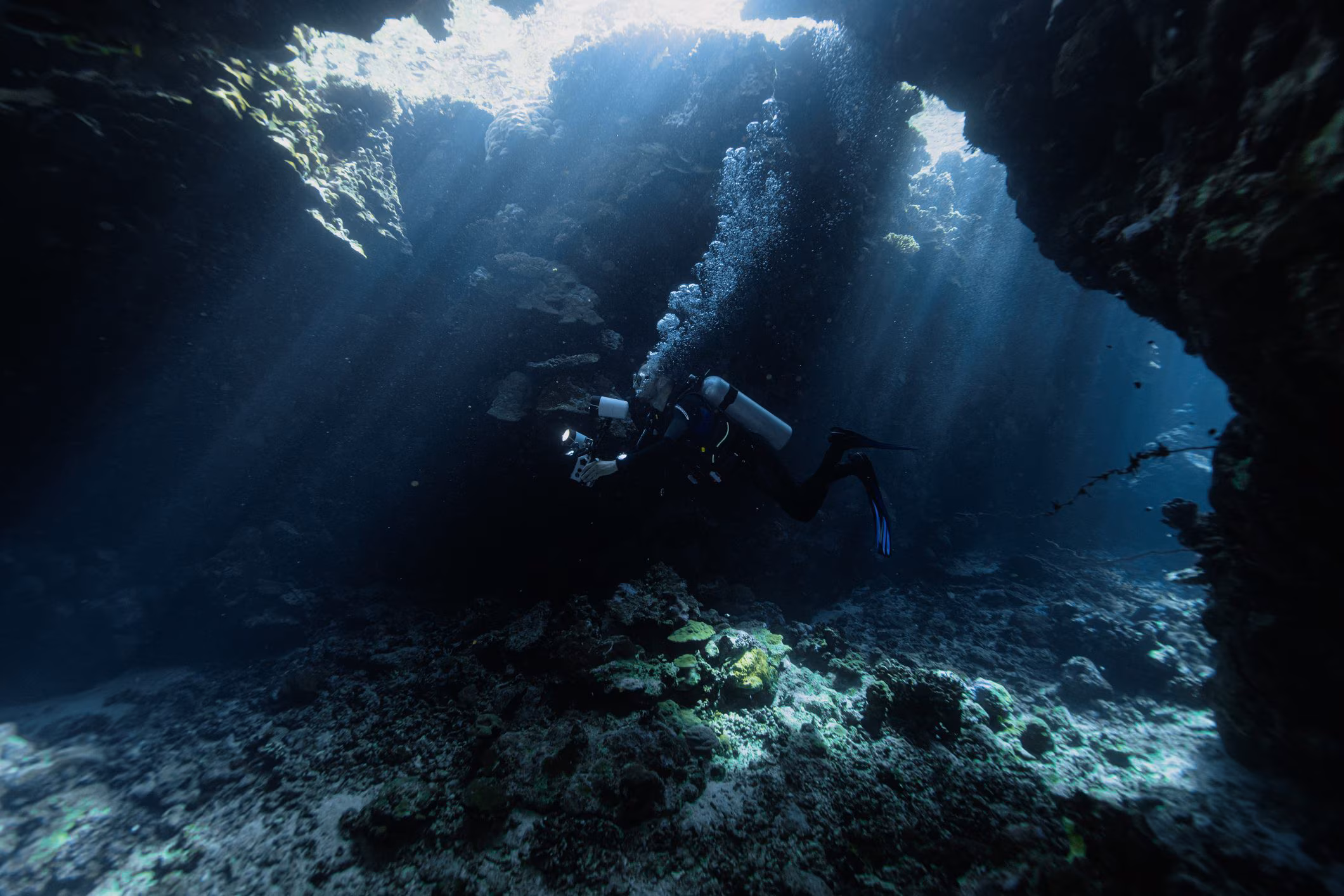 5 Italian divers died in the Maldives, interview with the SIMSI expert: the hypothesis of the unexpected current