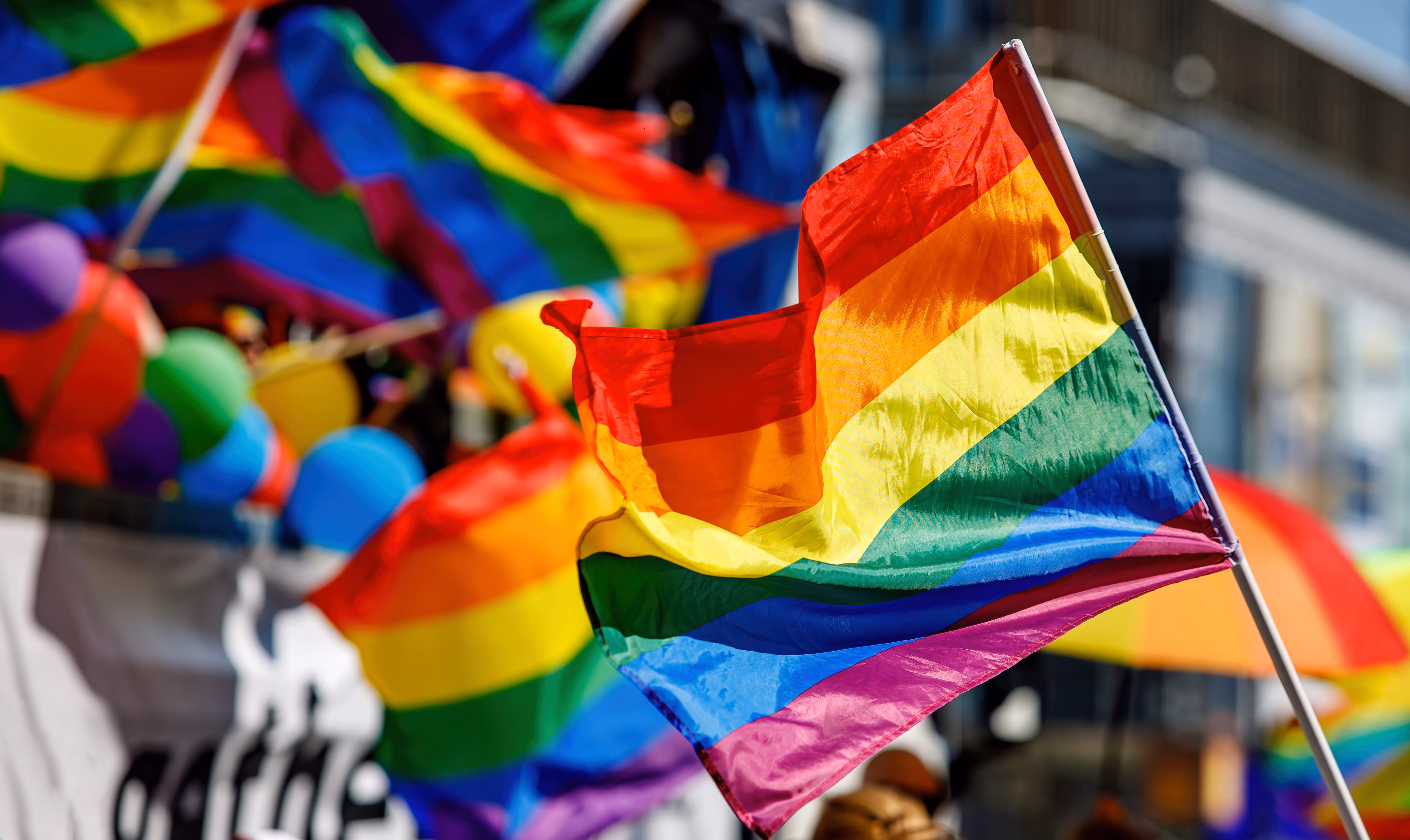 How the LGBTQIA+ rainbow flag has changed from its origins to today: the stages of evolution