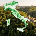 Italy is a forest nation, the woods exceed 100 thousand km² and cover 36% of the country: the map