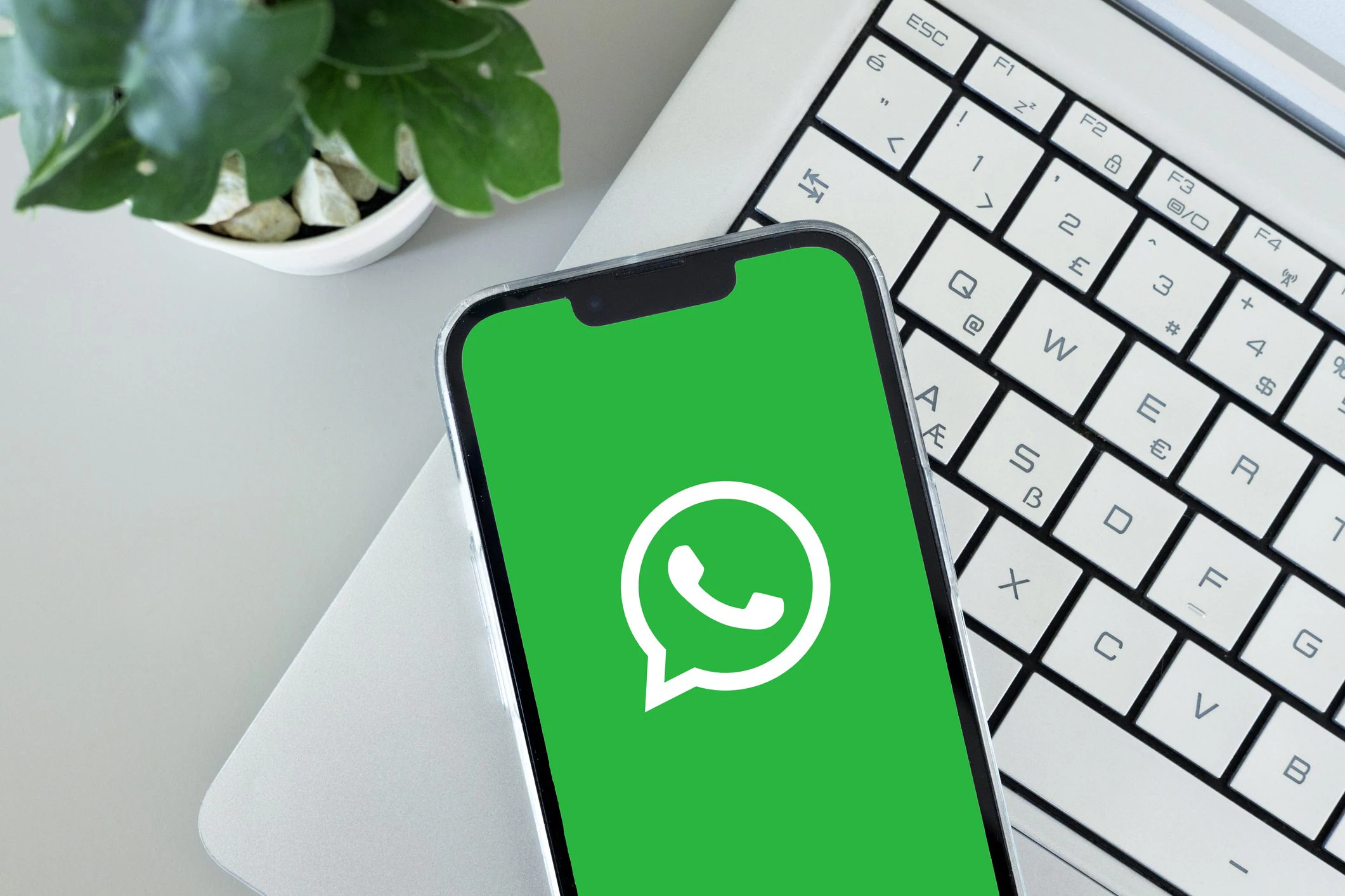 WhatsApp will stop working on some iPhones from November 30th with old iOS versions: what to do