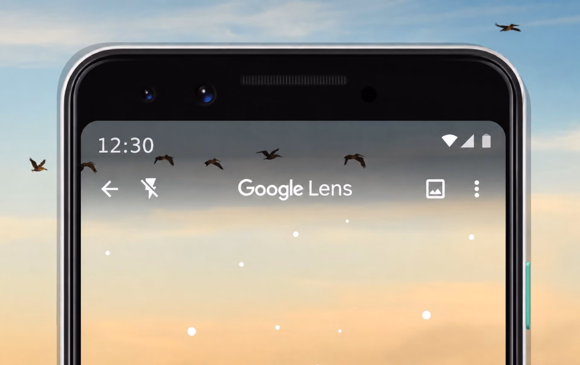 Google uses Google Translate's Lens and audio scans to train AI: how to prevent it