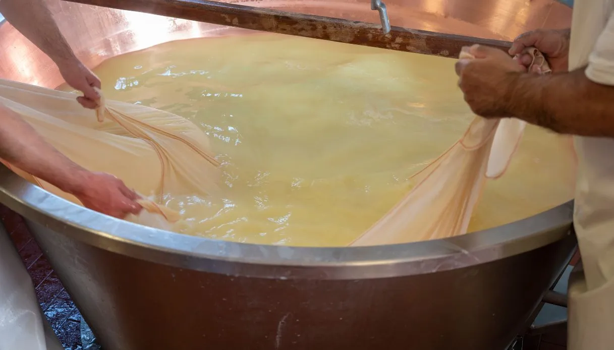 Formaggi made in Italy, export da record: quali sono i più venduti all’estero