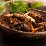 Mangiare insetti forse non è così male, almeno per la psiche