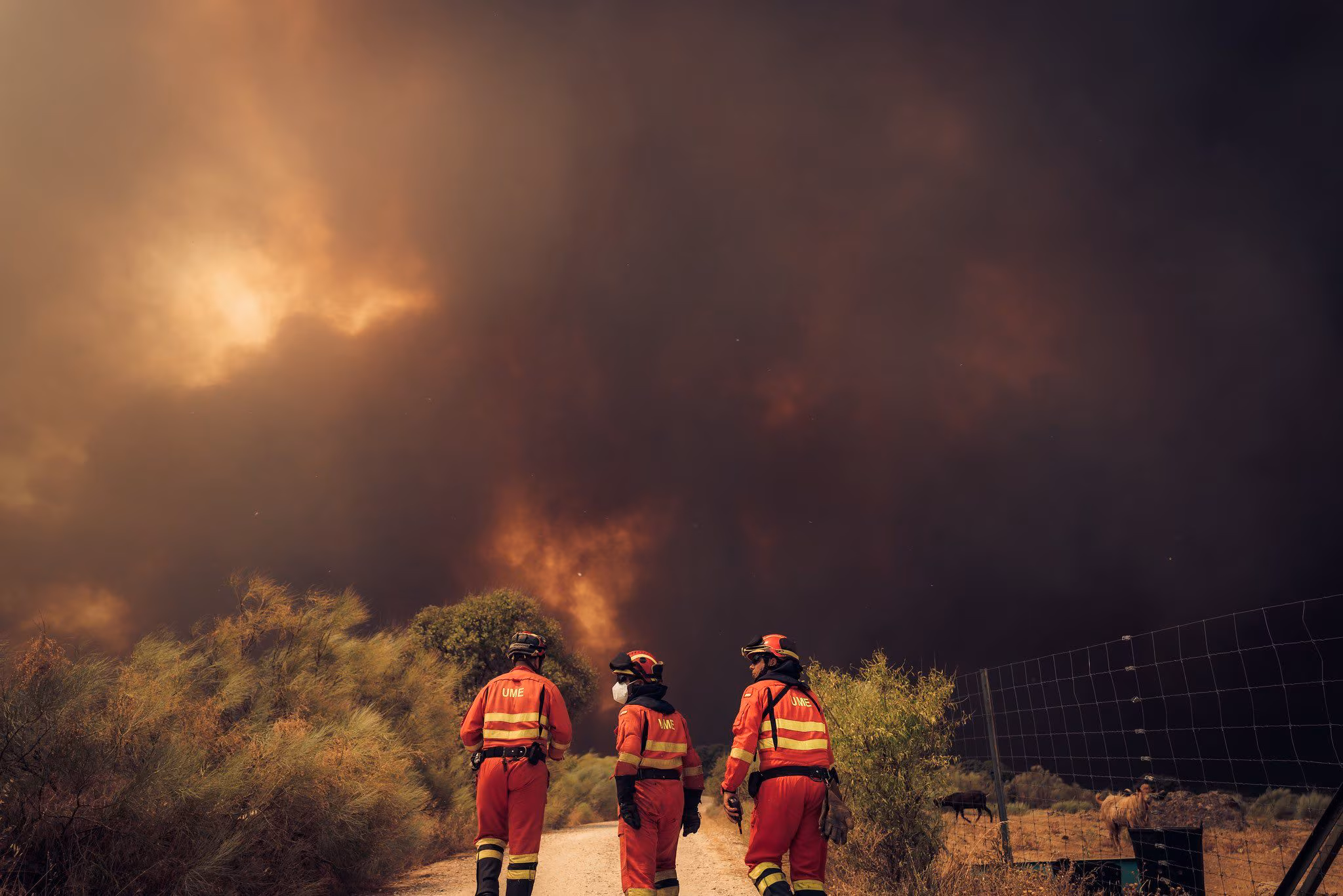 Why the fires in Spain and France are so difficult to put out: over 325,000 people evacuated