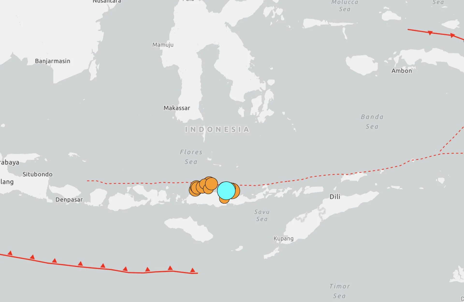 Earthquake in Indonesia of magnitude 7.7, shock on the island of Flores: buildings collapsed and at least 20 dead