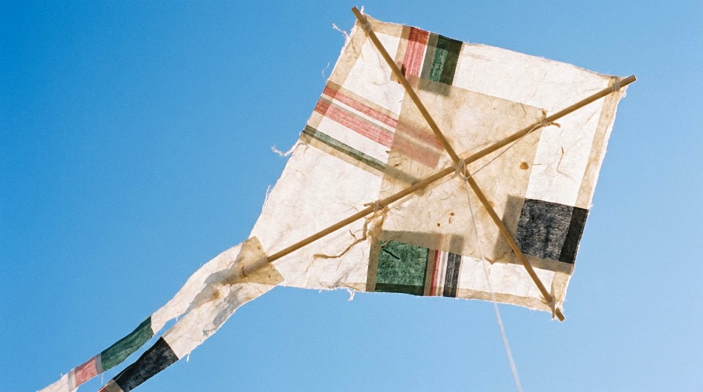 Because the kites of the children of Gaza are a symbol of Palestinian resistance: the Great March of Return