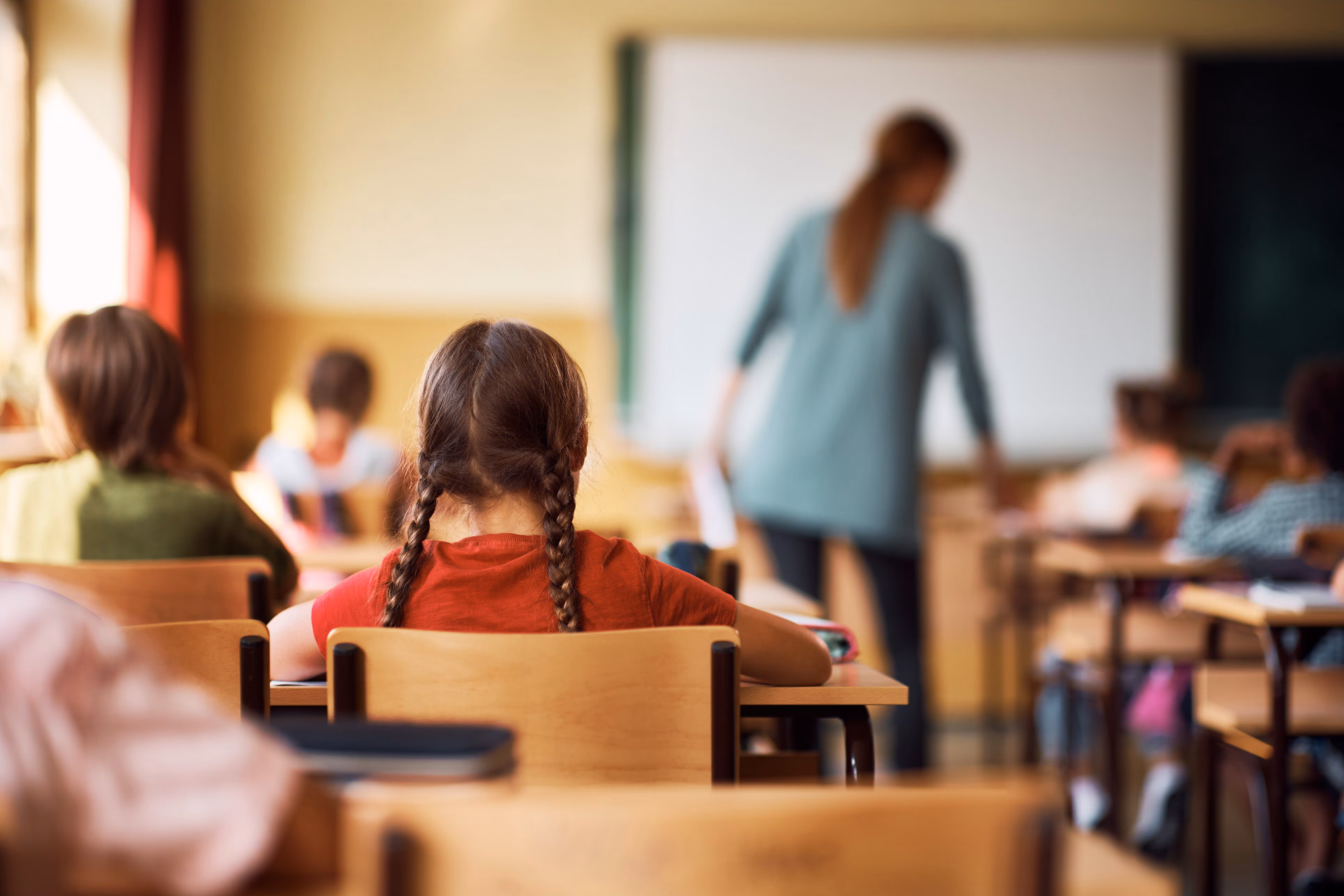 How much it costs to return to school in 2026, 1200 euros on average per student for books and equipment: the data