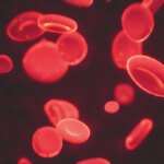 Talassemia ed emoglobinopatie, la sfida è garantire cure sempre più accessibili